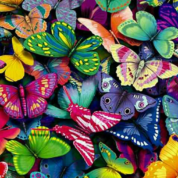 Meet your Posher - Picture 1 of 1